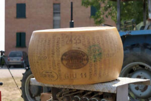 bonat-parmigiano reggiano