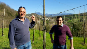 cantine-dellangelo-