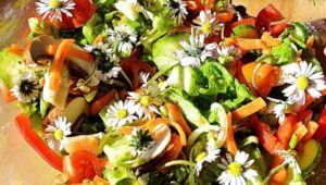 Con la primavera aumentano le varietà di fiori impiegabili in cucina